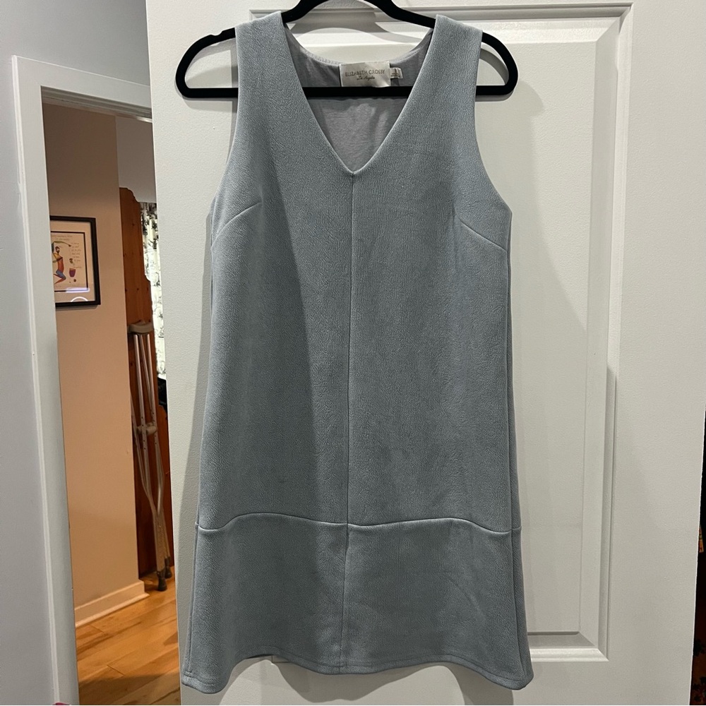 Blue Elizabeth Crosby Shift Dress